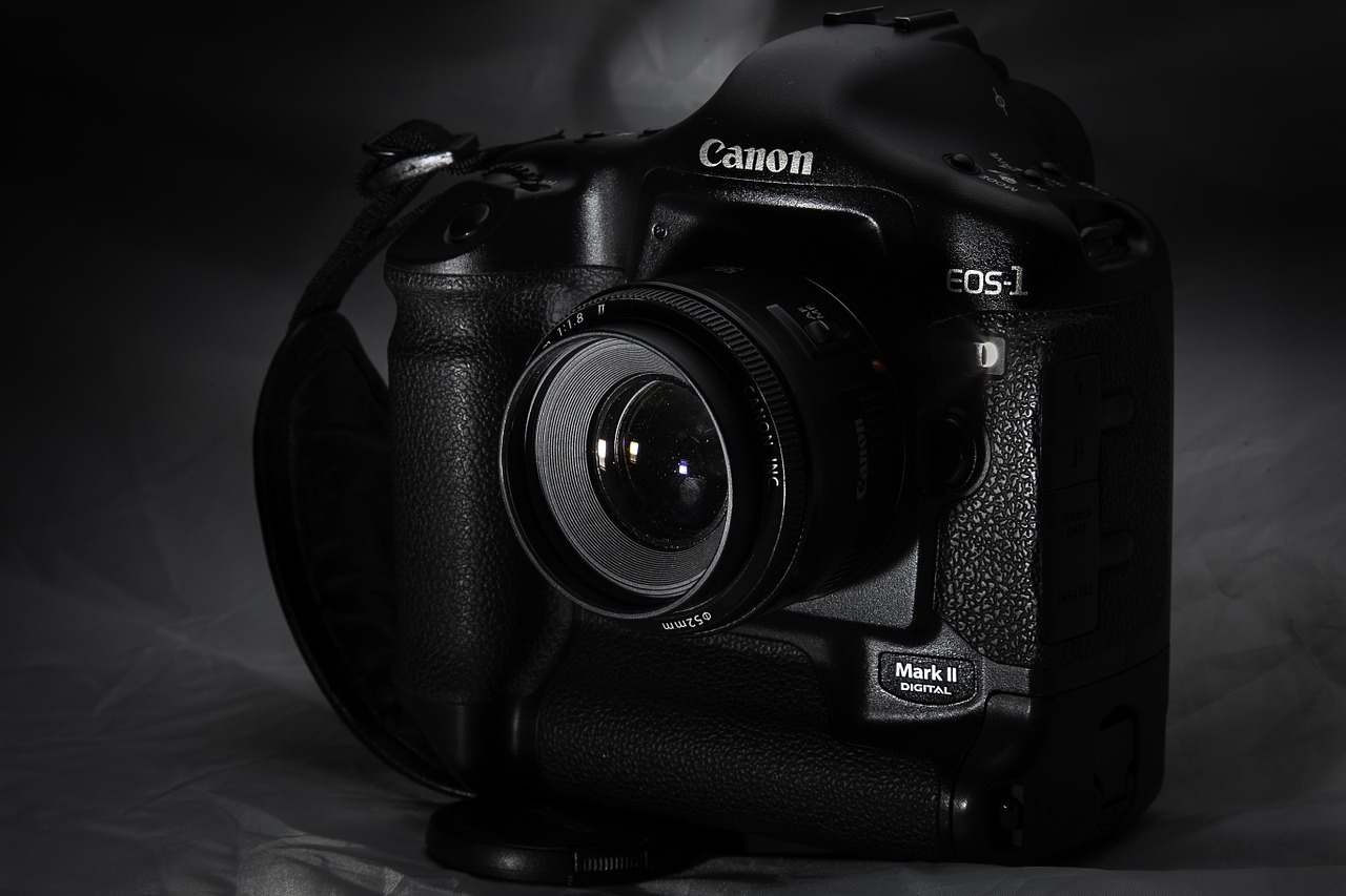 Canon Digital Photo Professional (DPP) Updater